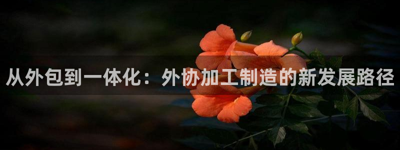 彩名堂怎么用不输