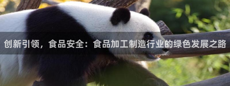 彩名堂是正规的公司吗