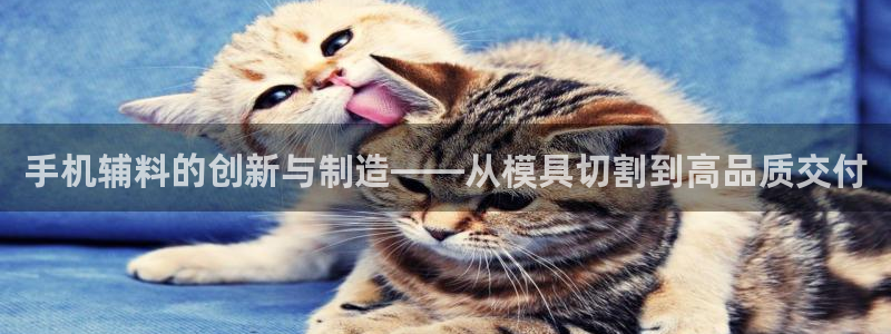 如何进入彩名堂官网更新