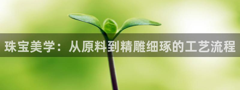 彩名堂怎么买准确率高