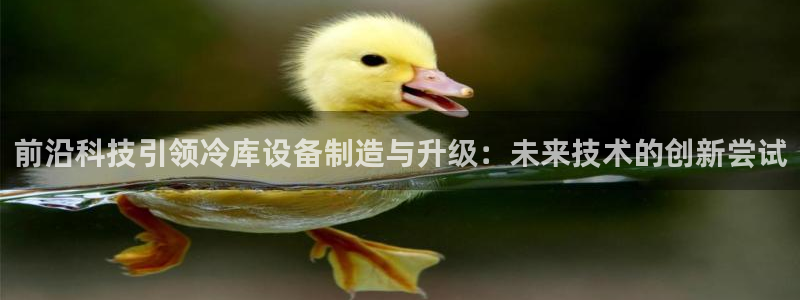 彩名堂安卓客户端官网