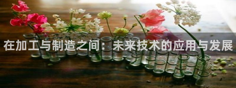 彩名堂预测网站