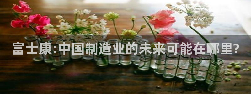 彩名堂计划官网客户端