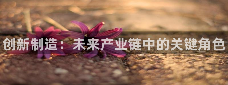 彩名堂客户