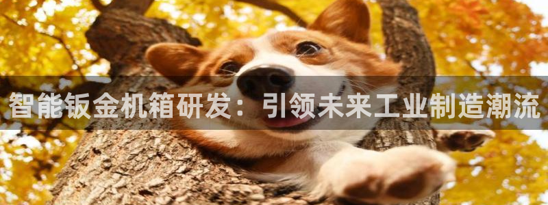 彩名堂客服