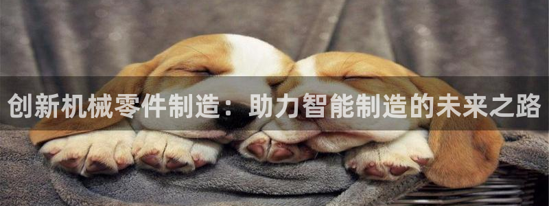 彩名堂计划怎么出的