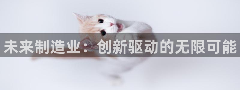 彩名堂.netnet