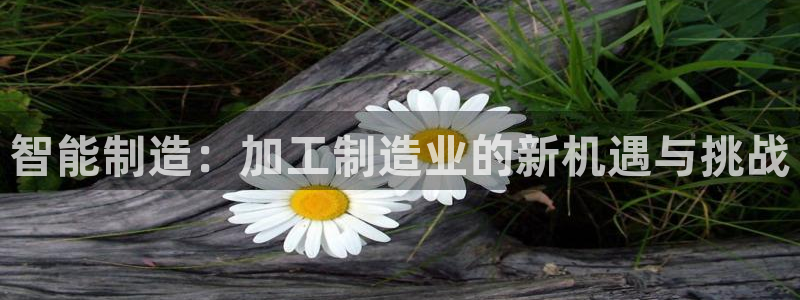 彩名堂官网计划客户端