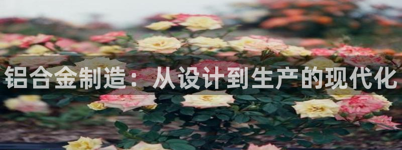 彩名堂一直不出结果怎么回事