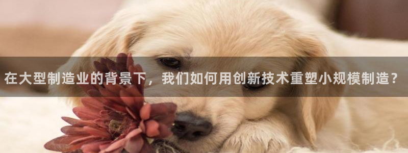 下载苹果手机版彩名堂