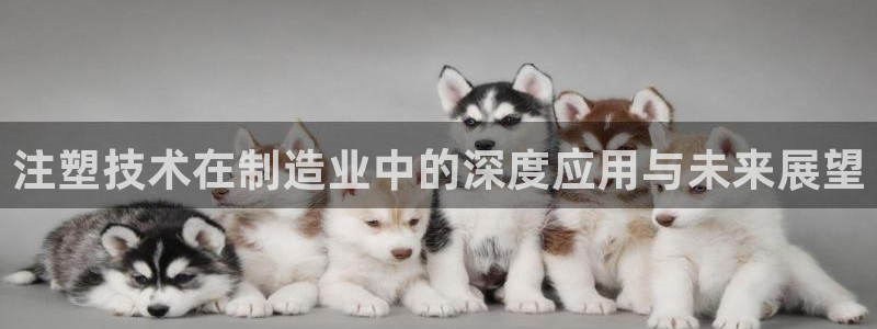 彩名堂客户端是永久免费吗安全吗