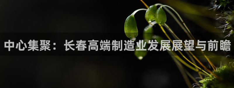 彩名堂到底怎么看,一跟就挂
