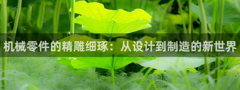 彩名堂手机版官网