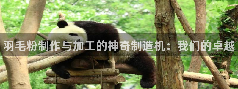 彩名堂怎么不能用了