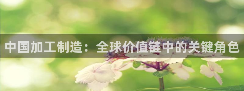 彩名堂免费计划官网怎么进不去了