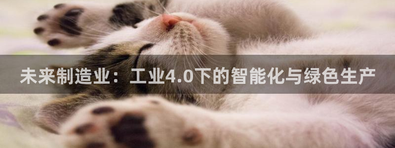 彩名堂安卓客户端官网