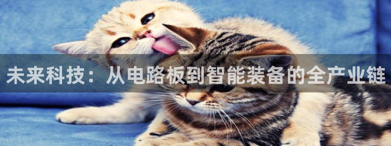 彩名堂彩