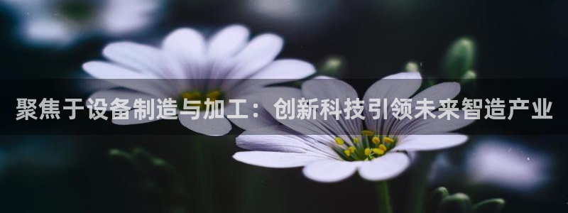 彩名堂预测计划