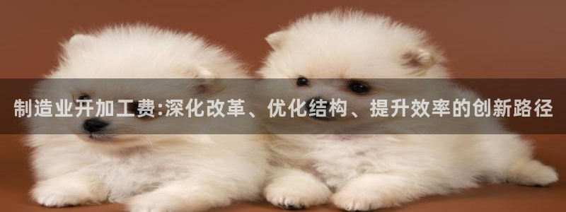 彩名堂旧版本