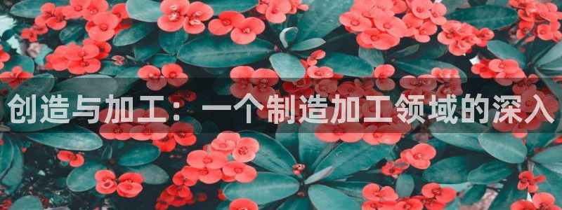 彩名堂