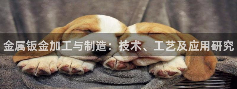 彩名堂免费计划下载