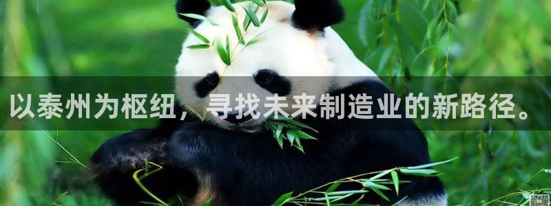 彩名堂计划官方下载网址