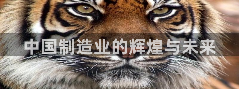彩名堂计划技巧