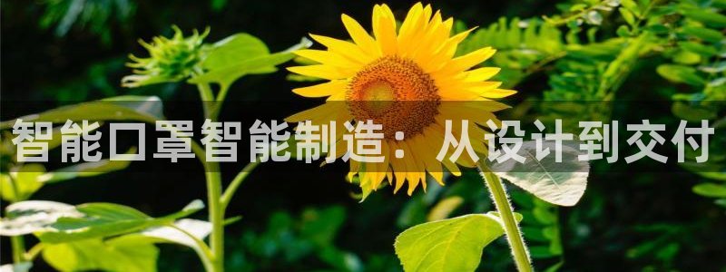 彩名堂改名稻草人了吗知乎