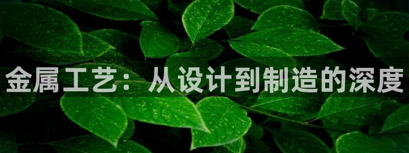 彩名堂计划官网客户端