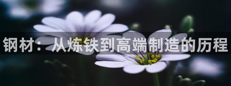 彩名堂官网在线计划怎么不更新了