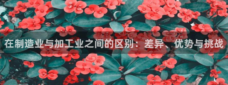 彩名堂一直不出结果怎么回事儿