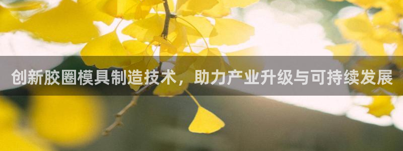 彩名堂怎么选稳定计划