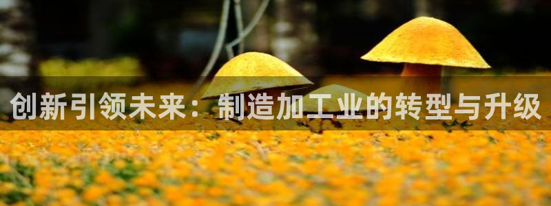 下载彩名堂预测计划软件安装