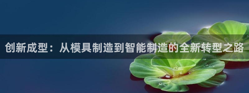 彩名堂3d