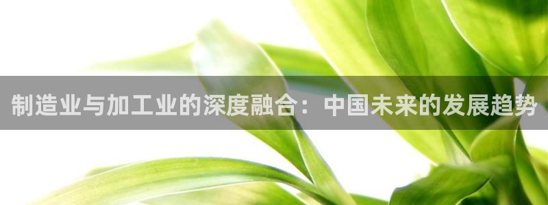 彩名堂是什么