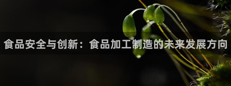 下载彩名堂预测计划软件安装