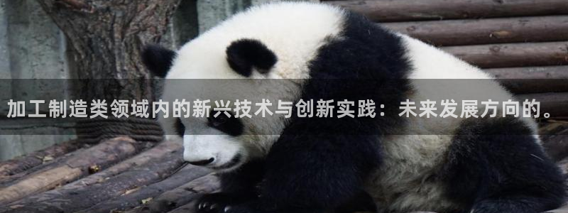 彩名堂人工计划怎么找不到下载了?