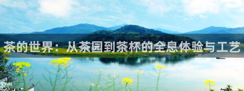 彩名堂官方软件下载