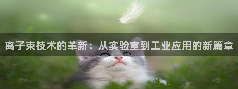 彩名堂怎么样