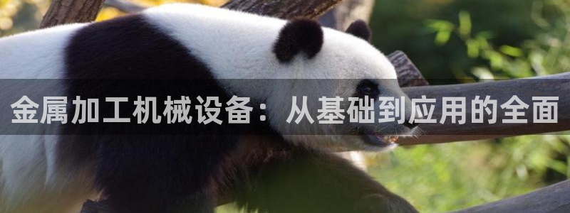彩名堂排三
