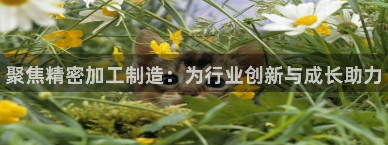 彩名堂怎么跟计划才不连挂呢