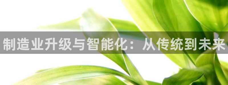 彩名堂安卓客户端官网