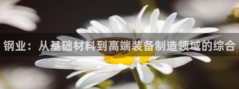 彩名堂移动客户端