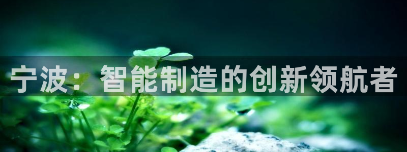 彩名堂怎么打最稳