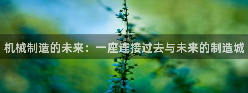 彩名堂官网计划客户端