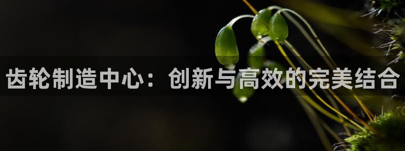 彩名堂彩