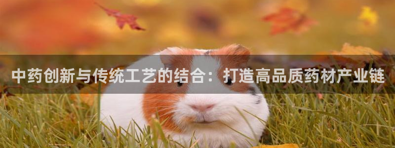 彩名堂app计划官方网站