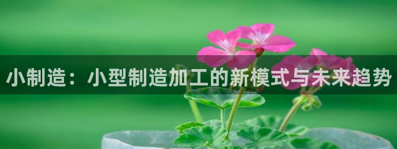 彩名堂最新版www