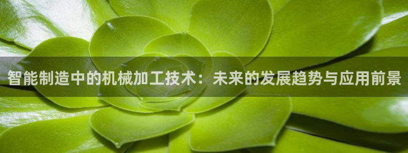 彩名堂为啥不准了乱变