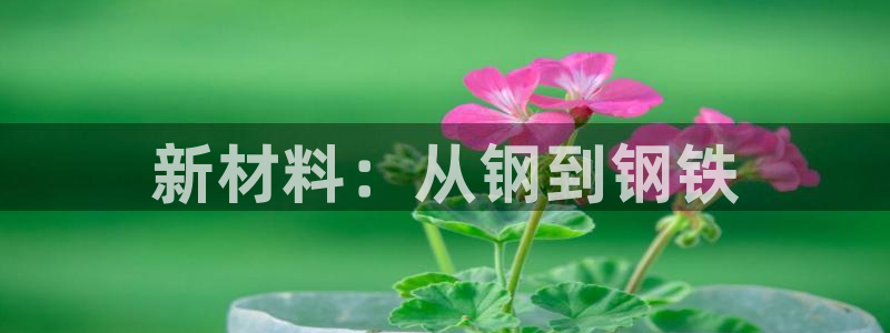彩名堂app2.05版本